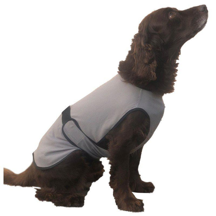 Cooling Vest Grå Ozami