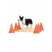 Agility Hinder Med Koner 30cm