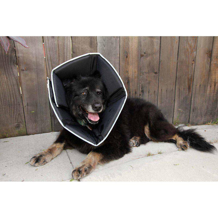 Comfy Cone