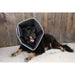 Comfy Cone
