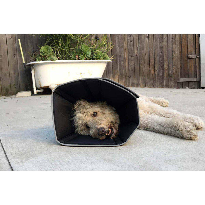 Comfy Cone