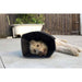 Comfy Cone