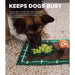 Outward Hound Activity Matz Garden Game