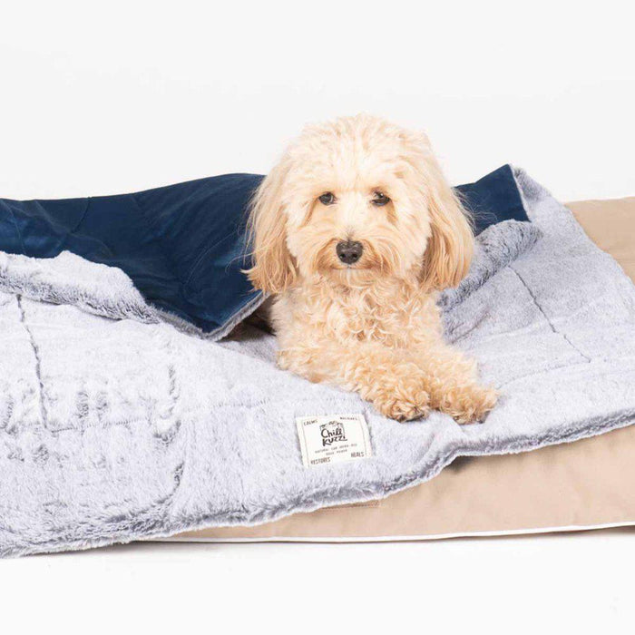 Dgs Chill Kuzzi Blanket