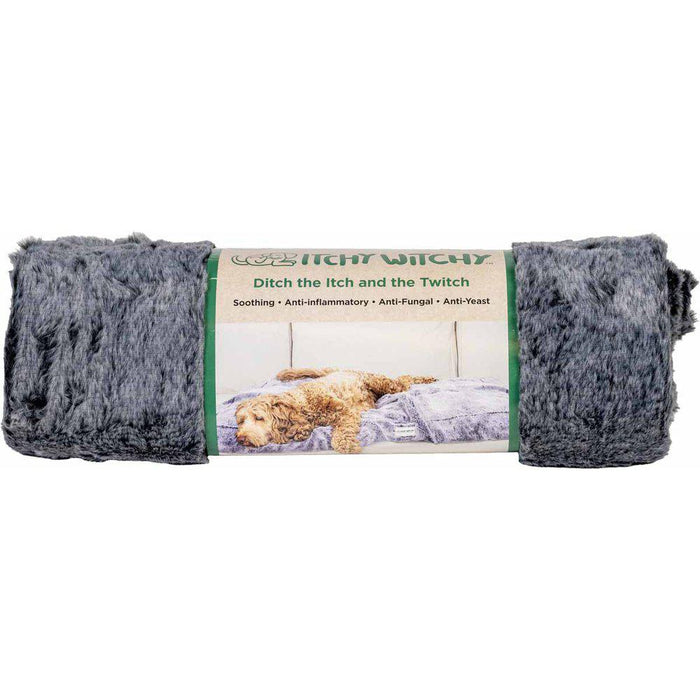 Dgs Ichy Witchy Blanket