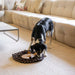 Ozami Hundleksak Snuffle Mat Lion 47cm