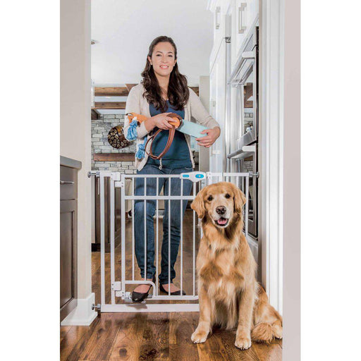 Carlson Grind Handsfree Walk-thru Vit