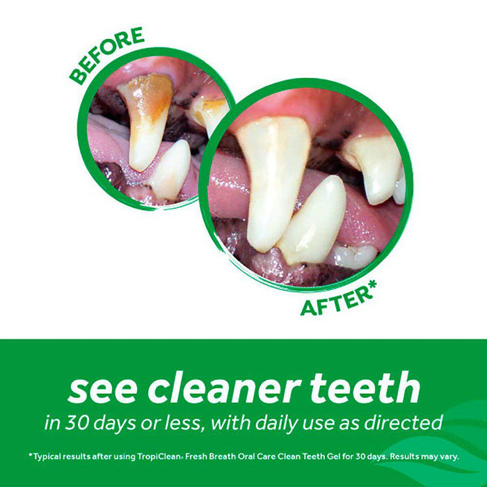 Tropiclean Clean Teeth Oral Care Gel