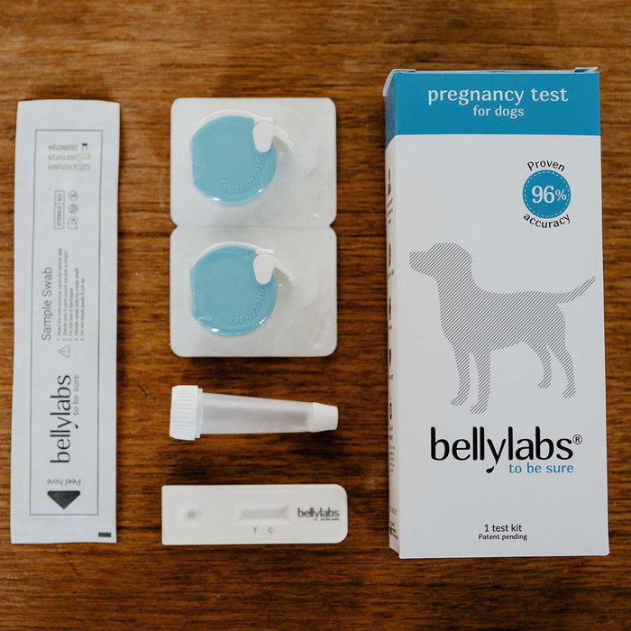 Bellylabs Pregnancytest For Dog B.f 01/11 2024