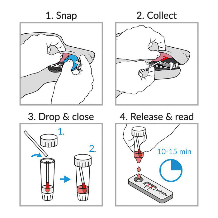 Bellylabs Pregnancytest For Dog B.f 01/11 2024
