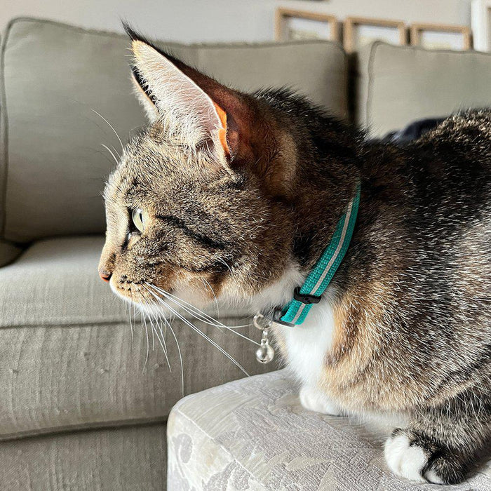 Rogz Alleycat Halsband Lila 11mm