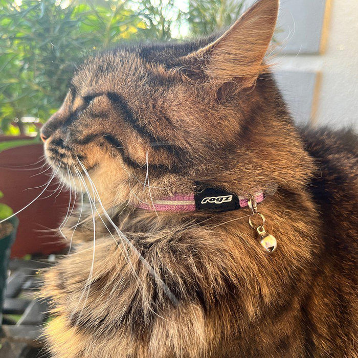 Rogz Alleycat Halsband Xs 8mm