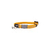 Rogz Alleycat Halsband Xs 8mm