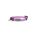 Rogz Alleycat Halsband Xs 8mm