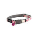 Rogz Glowcat Halsband S 11mm 20-31cm