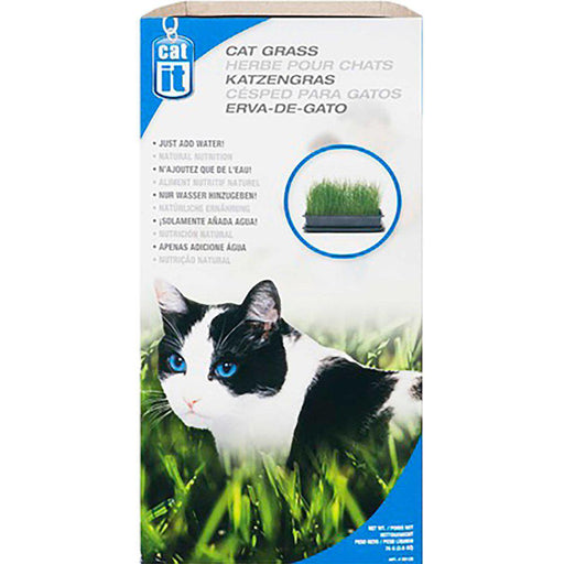 CATIT Kattgräs 85g