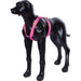 Form Polar Sele 70-120 Cm L Rosa