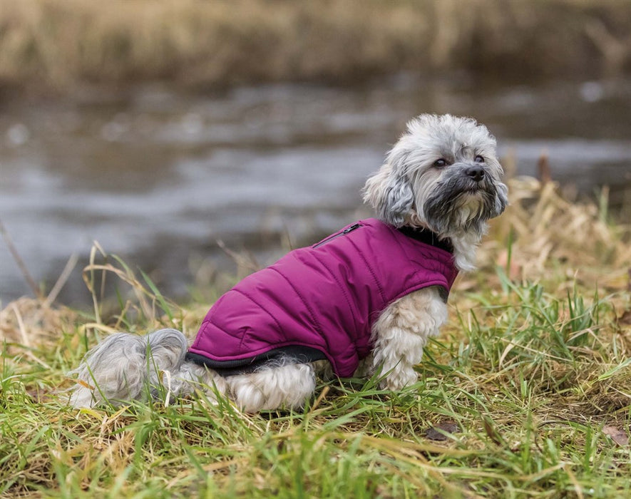 Arlay Täcke för hund med fleecefoder och lätt vaddering, vattenavvisande och justerbar elastisk haklapp. Kan kombineras med sele för en perfekt passform och komfort.