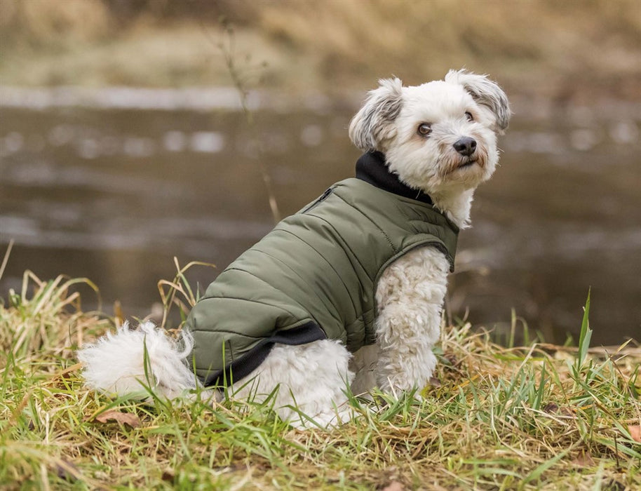 Arlay Täcke för hund, med fleecefoder, lätt vaddering och vattenavvisande material. Justerbar elastisk haklapp för bekväm passform och kan kombineras med sele.