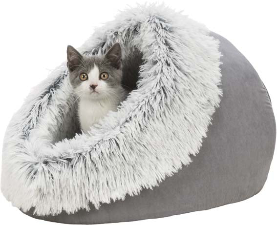 Trixie Harvey Igloo