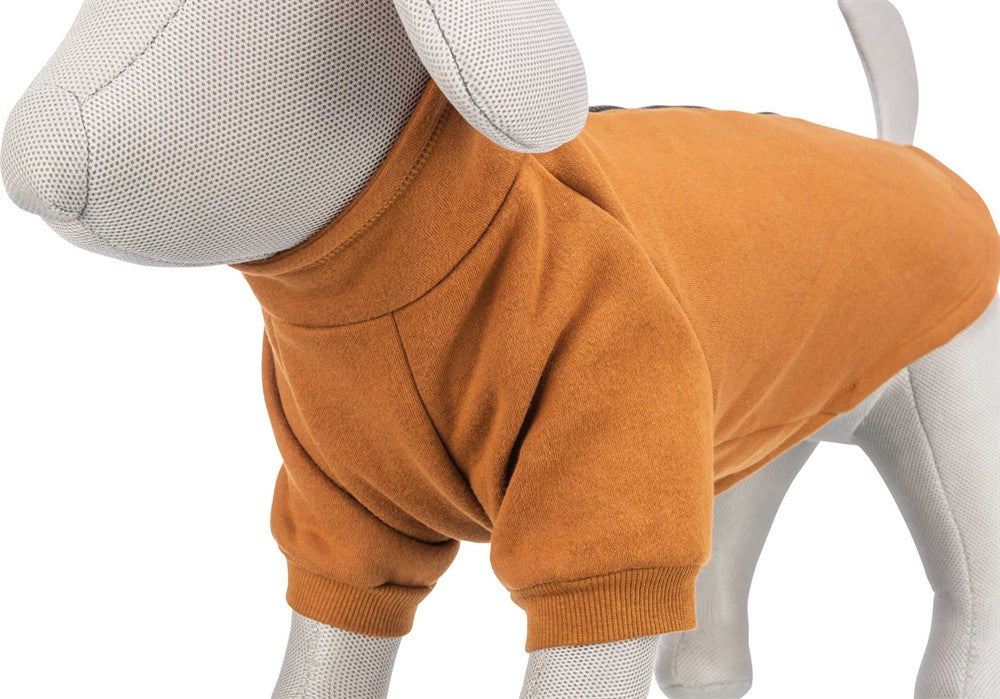 Sweatshirt CityStyle Amsterdam för hundar, tillverkad i ren bomull med värmande lurvig insida och tvåvägsdragkedja för att enkelt kombinera med sele.