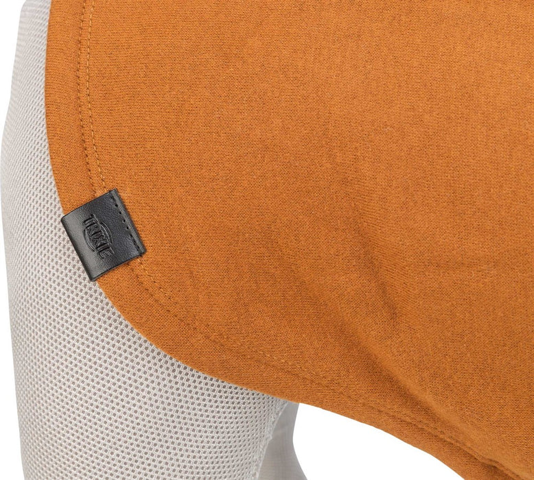 Sweatshirt CityStyle Amsterdam för hundar, tillverkad i ren bomull med värmande lurvig insida och tvåvägsdragkedja för att enkelt kombinera med sele.