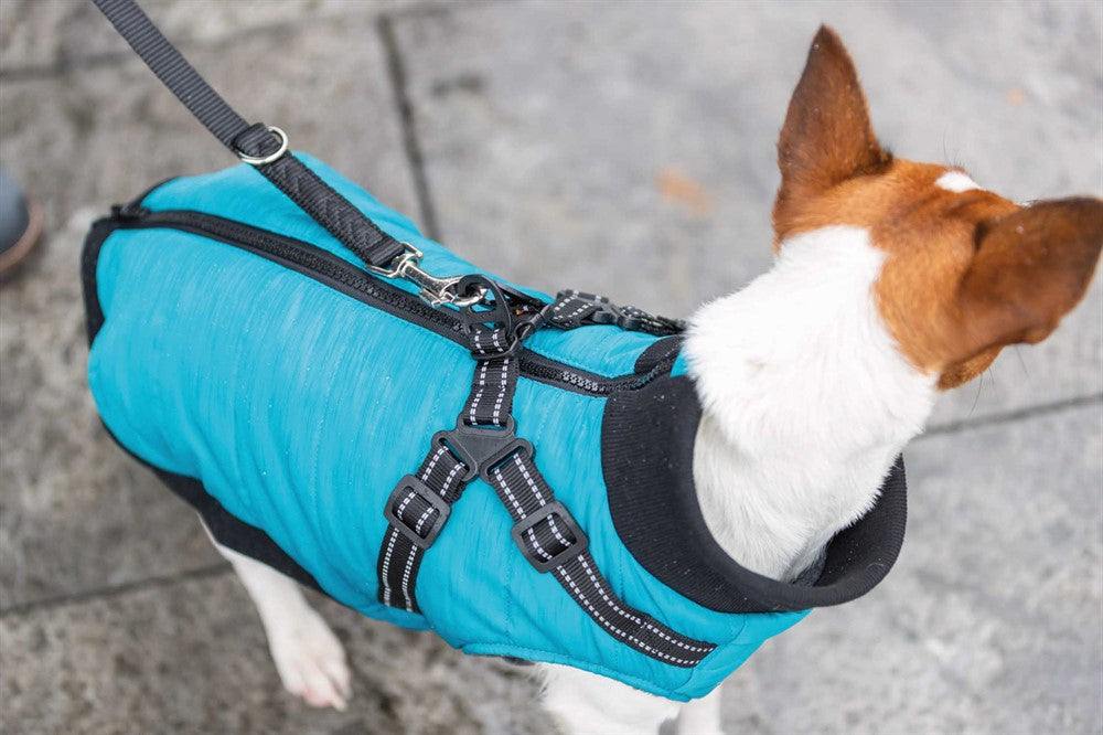 Pontis Täcke med sele för hund, i polyester med fleecefoder och vaddering. Reflekterande detaljer och justerbara öglor för bakbenen för en säker och bekväm passform.