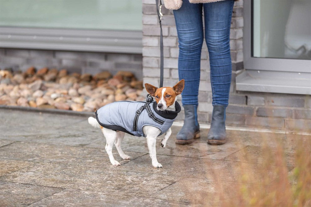 Pontis Täcke med sele för hund, i polyester med fleecefoder och vaddering. Justerbar passform med elastiskt inlägg och reflekterande detaljer för ökad säkerhet.