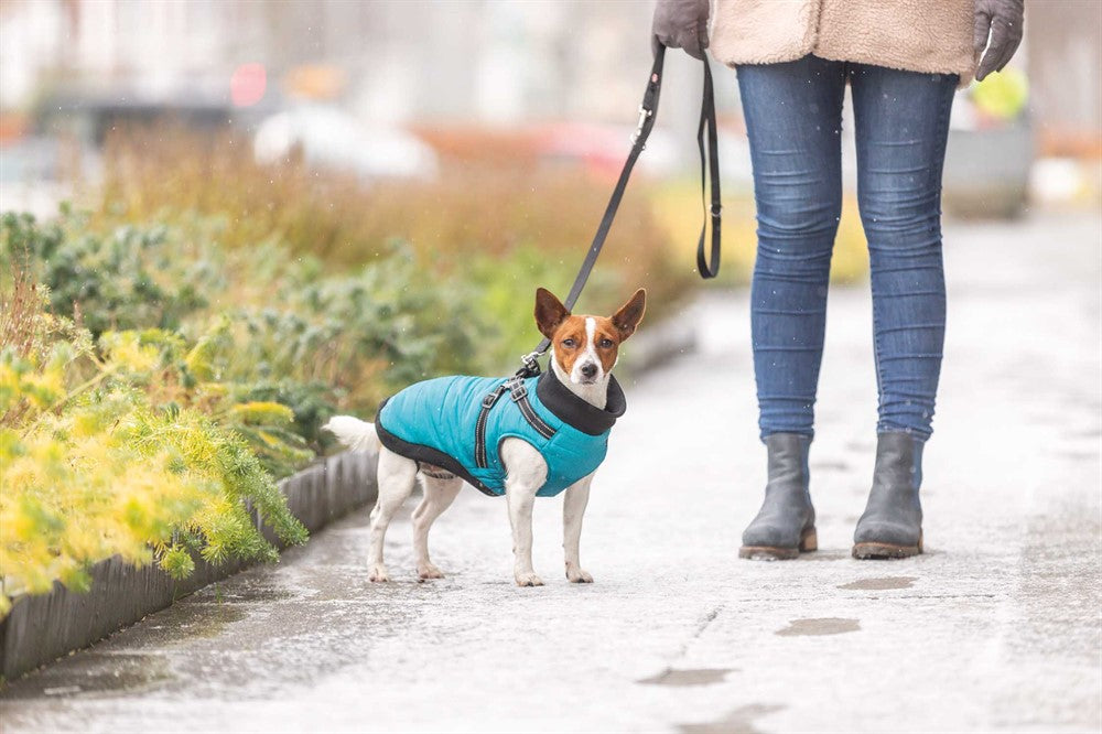 Pontis Täcke med sele för hund, i polyester med fleecefoder och vaddering. Reflekterande detaljer och justerbara öglor för bakbenen för en säker och bekväm passform.