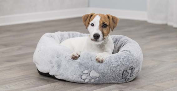 Trixie Nando Bed Soft Fleece Gray