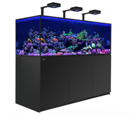 Red Sea Reefer G2+ Deluxe Svart Inkl ATO+