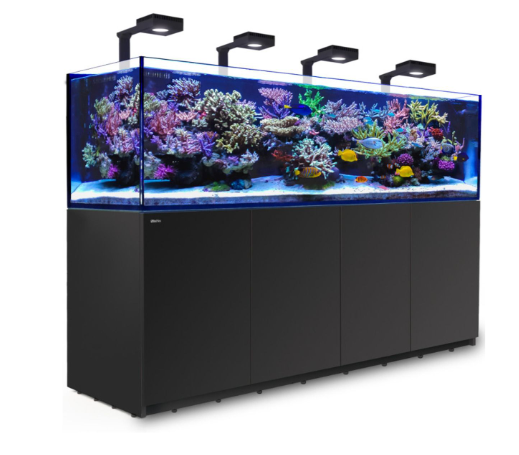 Red Sea Reefer G2+ Deluxe Svart Inkl ATO+