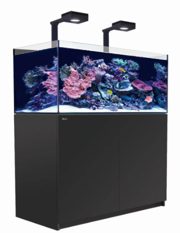Red Sea Reefer G2+ Deluxe Svart Inkl ATO+