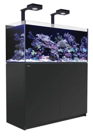 Red Sea Reefer G2+ Deluxe Svart Inkl ATO+