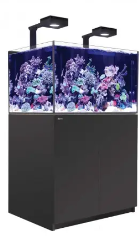 Red Sea Reefer G2+ Deluxe Svart Inkl ATO+