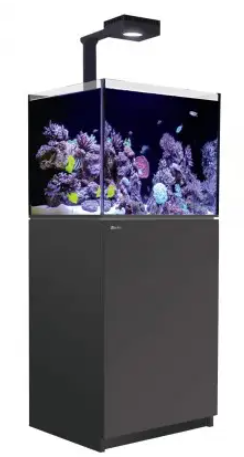 Red Sea Reefer G2+ Deluxe Svart Inkl ATO+