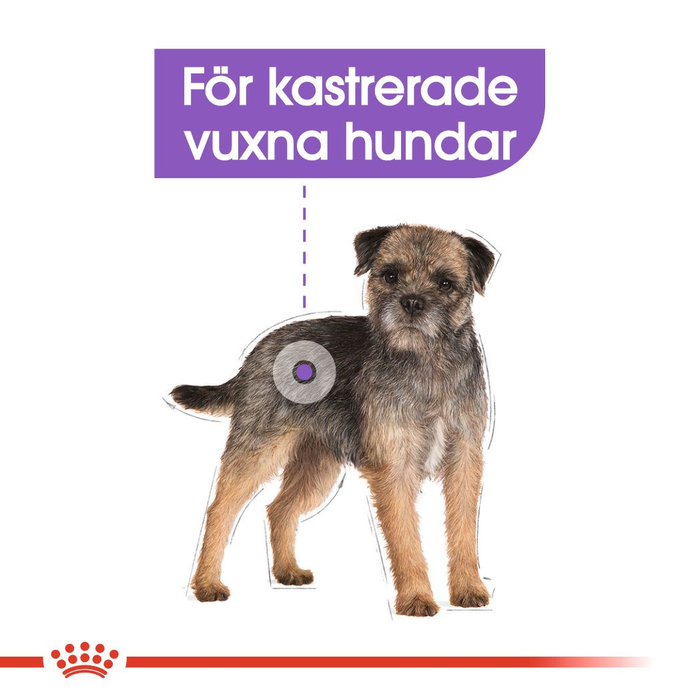 Royal Canin Sterilised Mini Adult torrfoder för hund