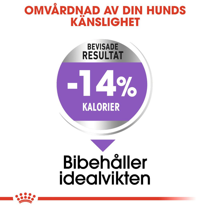 Royal Canin Sterilised Mini Adult torrfoder för hund