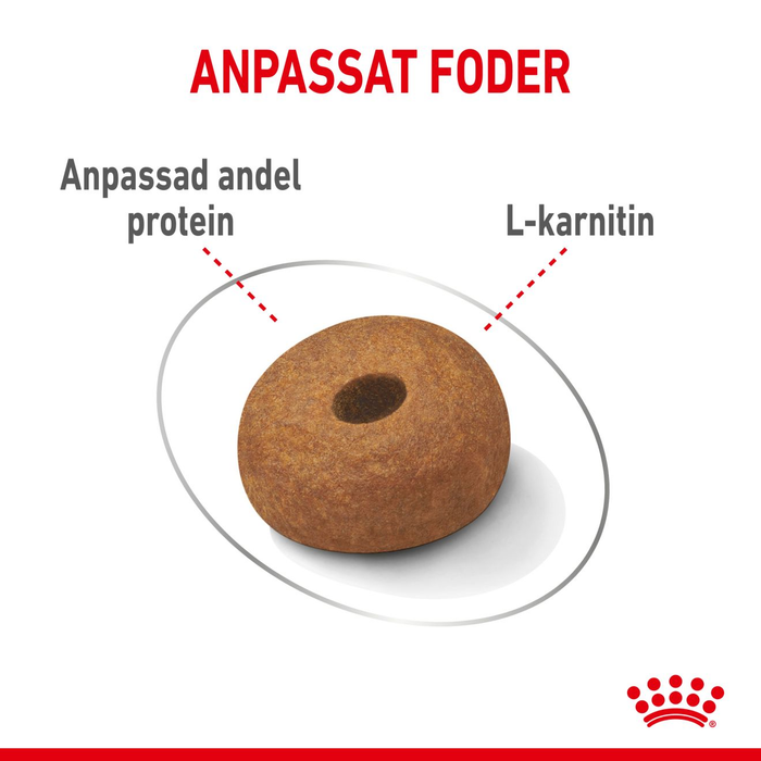 Royal Canin Light weight Care Maxi Adult torrfoder för hund