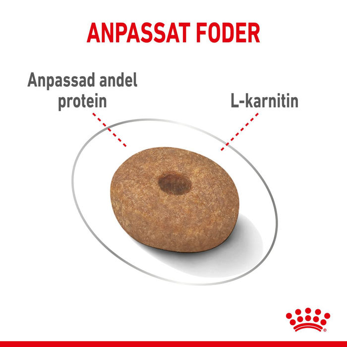 Royal Canin Light Weight Care Mini Adult torrfoder för hund