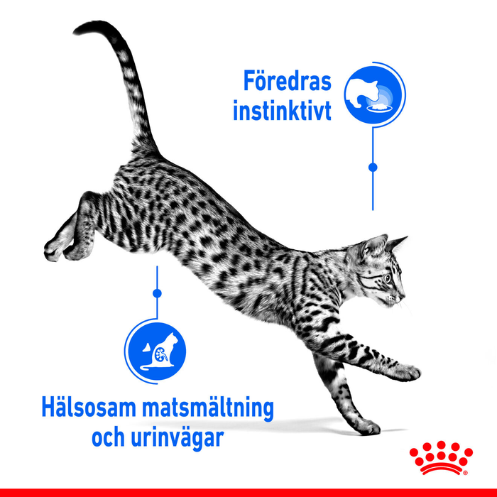 Royal Canin Indoor Sterilised Gravy Adult våtfoder för katt