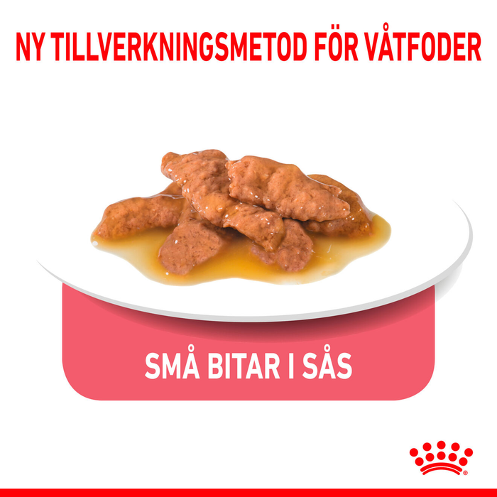 Royal Canin Indoor Sterilised Gravy Adult våtfoder för katt