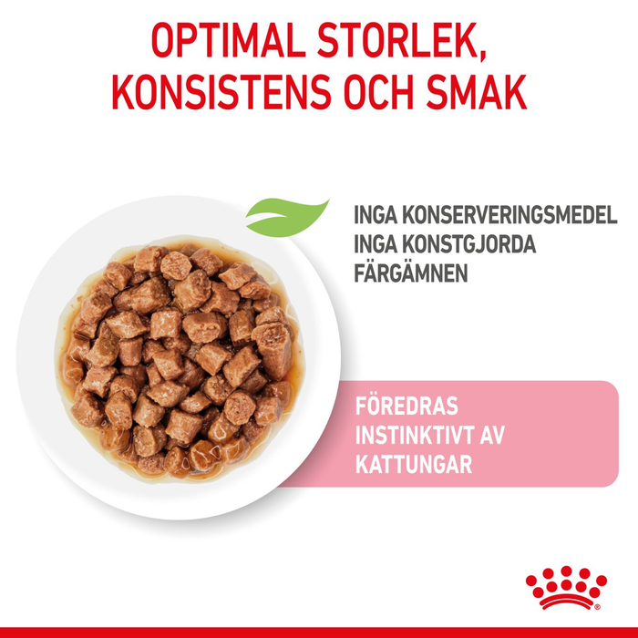 Royal Canin Kitten Sterilised Gravy våtfoder för kattunge