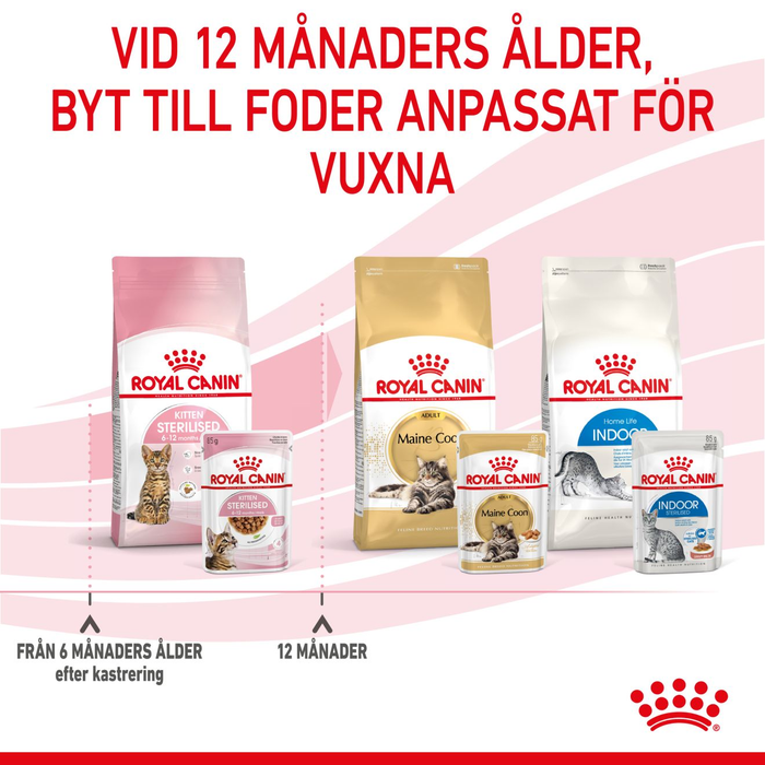 Royal Canin Kitten Sterilised Gravy våtfoder för kattunge