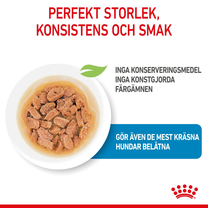 Royal Canin Mini Puppy våtfoder för hundvalp