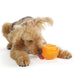 Outward Hound Planet Dog Lil Snoop Orange